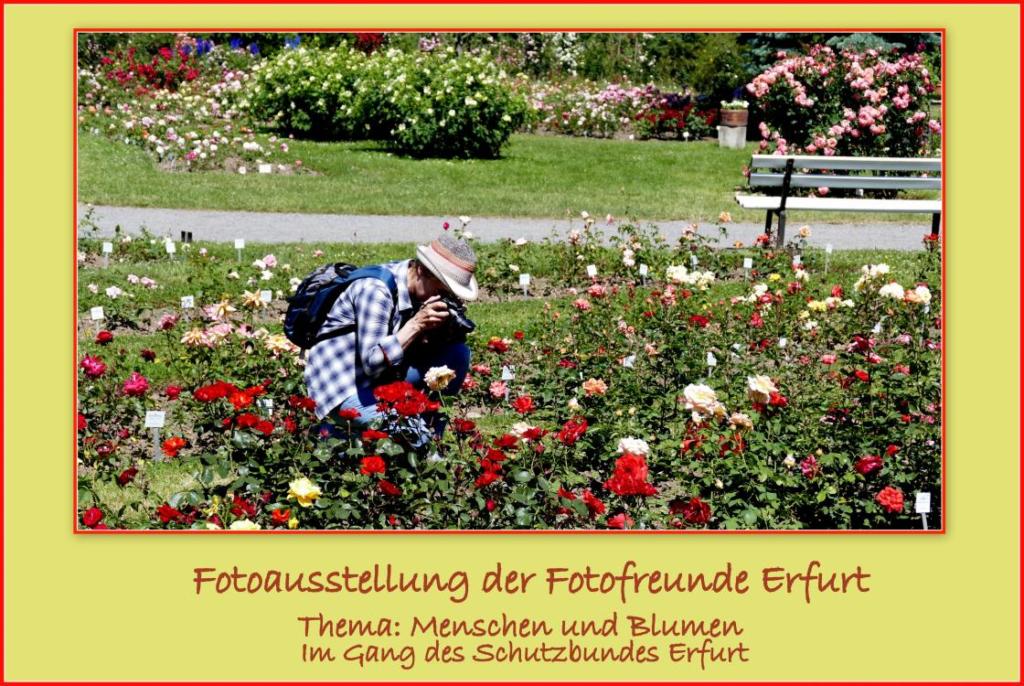 SBSV Senioren Fotoausstellung der Fotofreunde Erfurt SBSV Senioren Fotoausstellung der Fotofreunde Erfurt