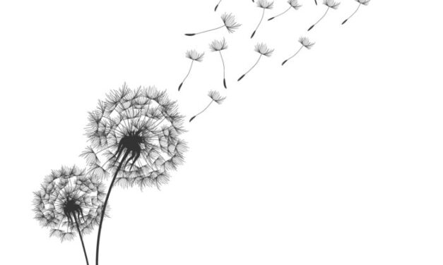 In stillem Gedenken an Anke Hofmann-Domke